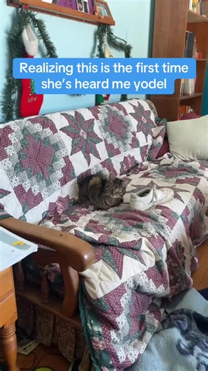 She’s very patient #yodel #cat #rural