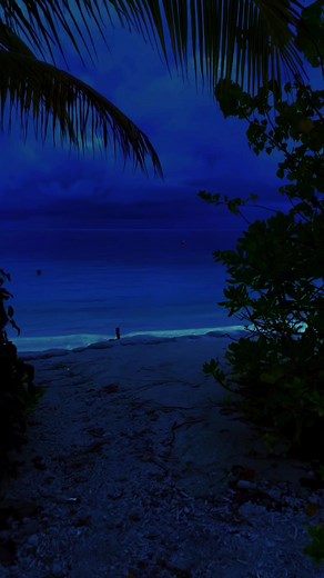 Relaxing Nighttime Beach Scene with Gentle Waves