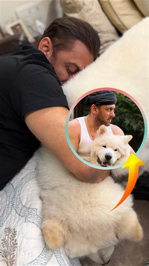 Salman Khan’s New Companion ‘My Sukh’ Wins Hearts Online#SalmanKhan #salmankhanfans