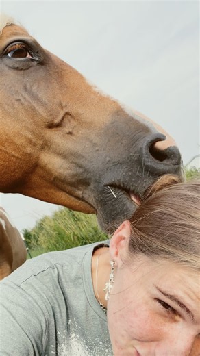 She’s at it again! #horse #funny #nibbles
