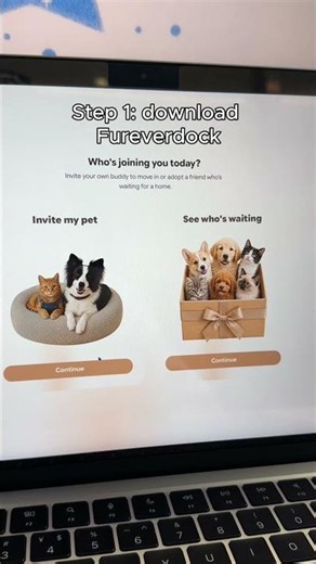 How to Bring Your Cat to Your Desktop in 3 Steps 🐱💻