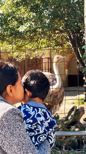 Life in Italy - page 57 | Pistoia Zoo Bird Species | Pistoia, Italy #travelitaly #europetravel