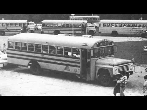 The Ford B700 Myth: Same Name, Totally Different Bus