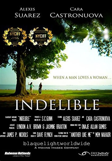 Indelible streaming: where to watch movie online?