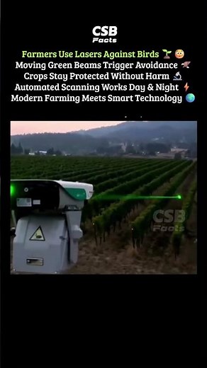 Farmers Use Lasers to Scare Birds 🤯🌱