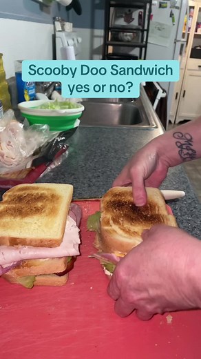 Easy Weeknight Meals: Scooby Doo Sandwich Idea