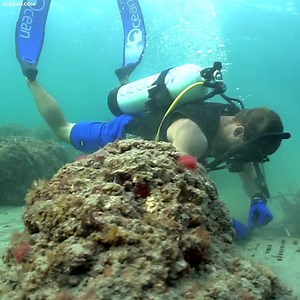 You can make a difference with 4Ocean.com. We clean the ocean 7 days a week and need your help to fund our global cleanups. Each bracelet purchased removes one pound of trash from the ocean. Join the 4Ocean movement! | 4ocean