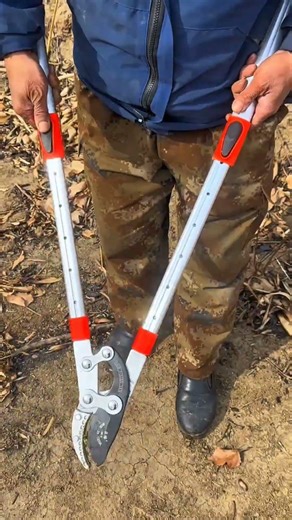 Protecting a Tree Trunk 🌳🛠️ #shorts