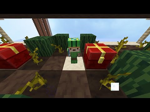 How To make the most efficient MELON MINION setup in Hypixel Skyblock!
