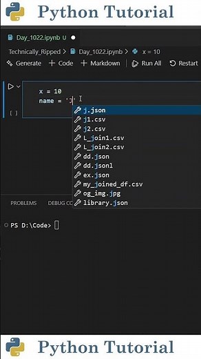 Viewing Environment Variables In Jupyter Notebook | Python Tutorial
