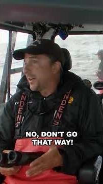 Dot Com Can't Look Away... 🛥️ ❌ #WickedTuna #BluefinTuna #BountyHunter