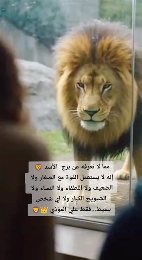 صفات وأسرار برج الأسد القوي