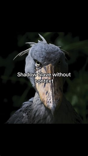 #shadowslave #webnovel #shadowslavenovel #sunless #lostfromlight | shadow slaves webtoon