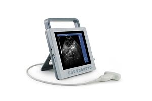 [Hot Item] Veterinary Ultrasound Machine for Small Animal Pregnancy Detection
