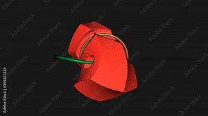 Rings Paired Cables Showing Boolean Geometry Operation in Complex Flexible