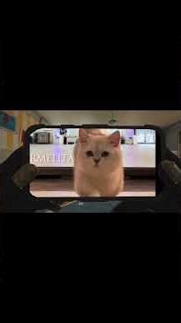 FBI open up meme #funny