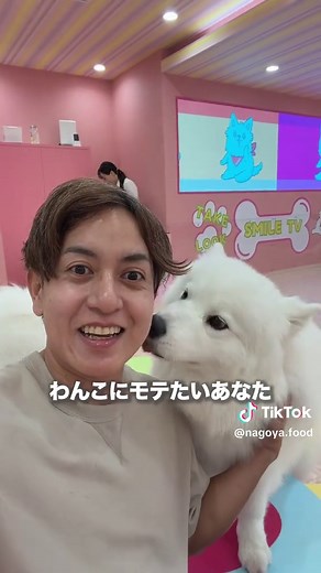 行きたいと思ったら【🐶】とコメント💬💓 〜〜〜〜〜〜〜〜〜〜〜〜〜〜〜〜〜〜〜〜〜 ★スポット情報 大型犬SMILE LAND（@samoyed_cafe.smile） 📍愛知県名古屋市中区大須3丁目24-43 大須セントラルスクウェア 2F 👉大須にある大型犬と触れ合えるエンタメ空間。入口からテーマパーク感すごい。 👉平日1時間2,600円、土日祝1時間3,000円。おやつガチャやチェキも楽しめる！！ 👉サモエド、ハスキー、アラスカンマラミュートなど、モフモフ好きには天国。 〜〜〜〜〜〜〜〜〜〜〜〜〜〜〜〜〜〜〜〜〜 犬カフェというより、もはや大型犬の夢の国。幸せの圧がすごすぎて、帰る頃には推し犬できてます。 〜〜〜〜〜〜〜〜〜〜〜〜〜〜〜〜〜〜〜〜〜 #名古屋デート