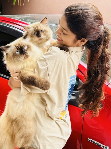 Understanding Persian Cats: Traits and Care Tips