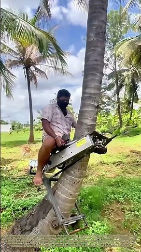 Ascending the Canopy: The Mechanized Tree-Climbing Revolution