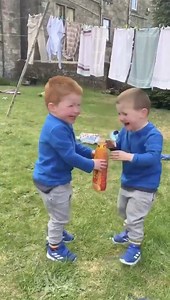 566K views · 7.7K reactions | If you haven't seen this yet, 100% pure joy | CollegeTimes.com | Facebook