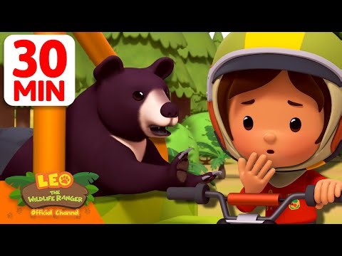 Lost Baby Moon Bear in the Mountains! 🐻👶 | 30 Min | Leo the Wildlife Ranger | #animals