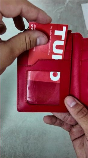 I made a Pokedex WALLET…
