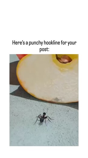 GUNJA SINGH on Instagram: "Nature can be beautiful—but sometimes, it’s haunting. 🐜💀 Meet the ant death spiral: one of the strangest and most unsettling accidents in the animal world. It happens when a group of ants loses their trail. Normally, they follow pheromones—chemical signals left by others—to navigate. But when the real path disappears, they latch onto the strongest scent… which ends up being each other. The result? A perfect, endless loop. The ants march in circles for hours, even day