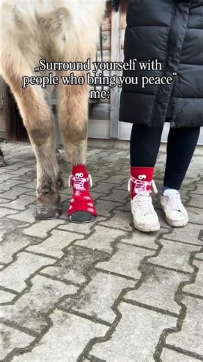 #horsepower #horsegirl #horses #horsesofinstagram #equestrianjourney #equestrian #pony #pferdesport