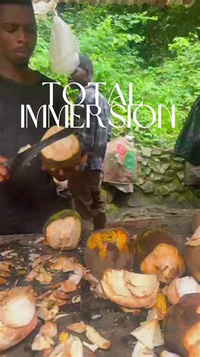 Get ready for GHANA TAKEOVER! 🇬🇭 📆 Aug 1–7, 2026 🏨 7 Days & 6 Nights | 4★ Hotel Exclusive Excursions 🛫 Depart USA July 31 • Return Aug 7 🔥 Don’t miss out — thesetnetwork.com to book! 🔗 #ghana #ghanatravel #ghanatakeover #africatravel #dettydecember