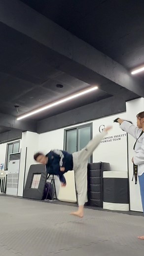 Taekwondo Tutorial: Korean Kicks & Techniques