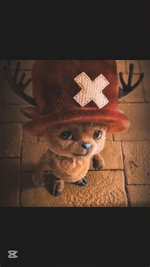 👉 Chopper Monster Point Transformation 🔥