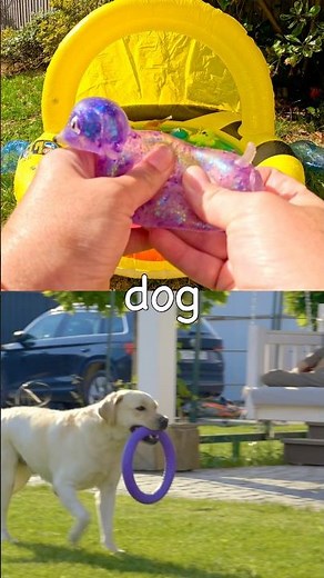 Learn Animal Names at the Bumblebee Pool for Babies Kids: Dog Camel Hippo Crocodile Elephant