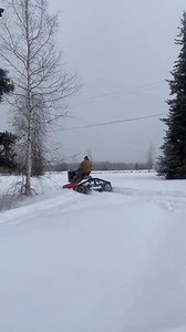 Amazing!! awesomestuff365.com #AwesomeStuff365 #WeirdTuesday #WeirdStuff #AmazingMoments #AwesomeMoments | Awesome Stuff 365