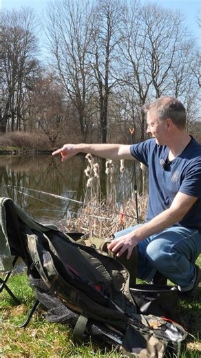 Float fishing at the village pond #fishing #fish #outdoors #pesca #釣り #pêche #carp #carpfishing