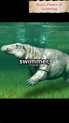 Desmostylus: The Weirdest Marine Mammal You’ve Never Heard Of #facts #animals #wildlife #prehistoric