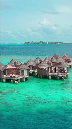 This Is Why Bora Bora Is a Dream Destination ✨ #borabora #travel #dream