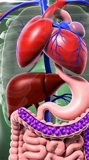 What Happens Inside Your Body When You Eat Grapes? 🍇 | Grapes Benefits | Shorts#shorts #grape #3d