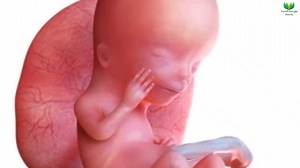 13K views · 224 reactions | winter in pregnancy | Health Bangla Beauty | Facebook