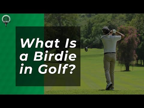 What Is a Birdie in Golf? [EXPLAINED]