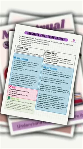 Understanding menstrual cycle graphs shouldn’t be confusing. This guide was created to help learners read graphs with confidence and score higher. 📘 Menstrual cycle Graph Mastery 🔗 Link in bio Instant Download #LifeSciencesSA #StudyTips #Grade12LifeSciences