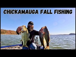 Fall Bass Fishing on Lake Chickamauga! Shallow Flats Alabama Rig Pattern (A-Rig Tips & Big Bites)