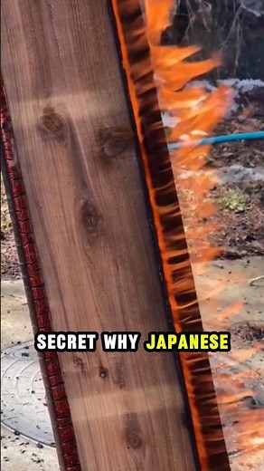 Japan's Fireproof Wood Technique : Yakisugi