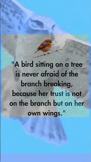 Trust Your Own Wings | Bird Motivation Quote About Self Belief and Courage #motivation #quotes