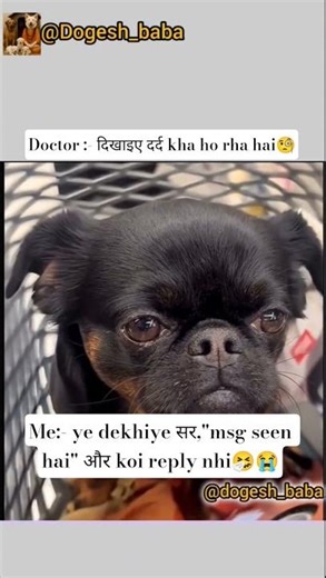 Doctor vs pyar का मारा🤧😹#relatablememes #sad #memehub #dogeshbhai