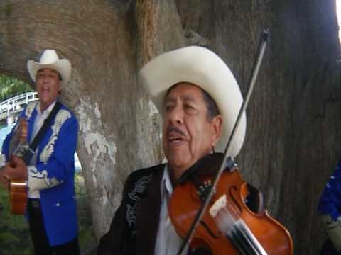 Los Liricos De Teran - Mi Teran