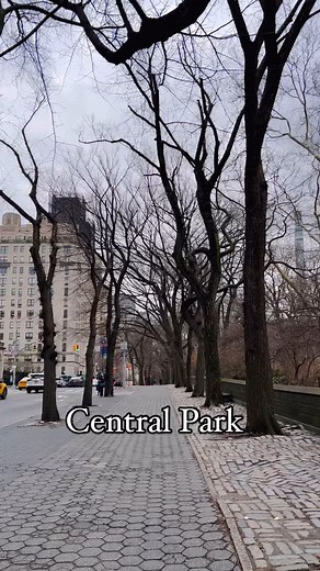 1.7K reactions · 76 shares | “Strolling through Manhattan’s iconic 5th Avenue, surrounded by luxury and legend, with the serene escape of Central Park just a stone’s throw away. A walk to the picturesque pond is the perfect way to unwind and connect with nature in the heart of the concrete jungle #CentralPark #FifthAvenue” | Discover New York | Facebook