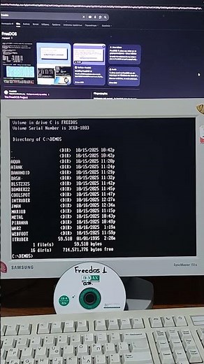 FreeDos 1 and MS-DOS Games