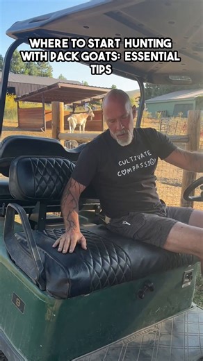 Thinking about hunting with pack goats but don’t know where to start? 🐐🎯 After more than a decade of experience, I’m sharing the first steps to getting your goats ready for the trail and the hunt. Repetition, conditioning, and strategy are the keys. | packgoats.com