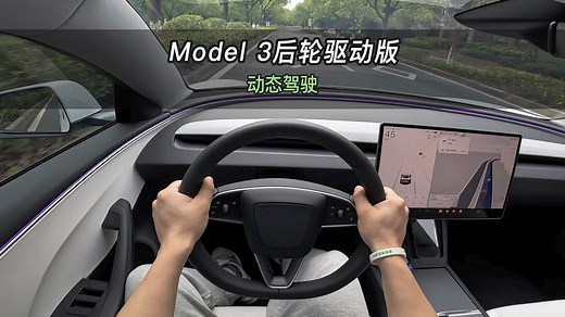 【大虾沉浸式试驾】特斯拉Model 3后轮驱动版👉百公里加速·电耗·夜间灯光全知道！