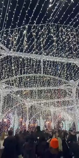 #SapporoWinterEvents The 45th #SapporoWhiteIllumination has officially begun, lighting up the city’s winter scenery all the way to White Day. From our JR Sapporo Station to Odori Park, the streets are covered in magical light displays - flowers, snowflakes, trees, and installations inspired by nature, with the Sapporo TV Tower as a glowing backdrop. The light tunnel is another must-see spot. Enjoy Sapporo’s winter charm with music and sparkling lights! 👉Odori Venue: Now – Dec 25th 👉Ekimae-dori